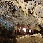 La Petite Ourse - De Charme Citadin